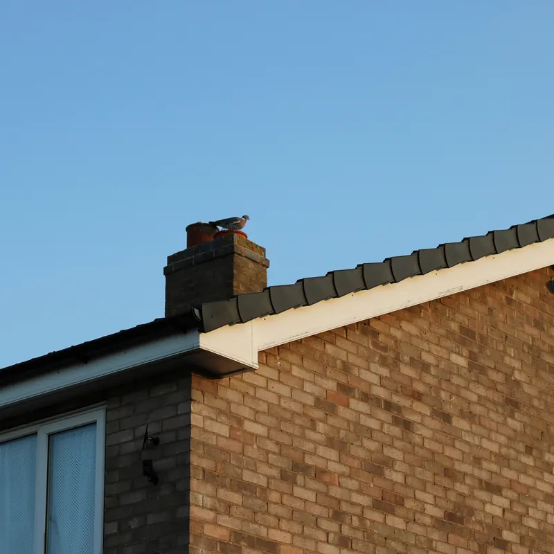 Fascias & Soffits by Revive Roofing & Repairs