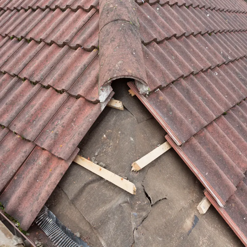 Roof Repairs by Revive Roofing & Repairs
